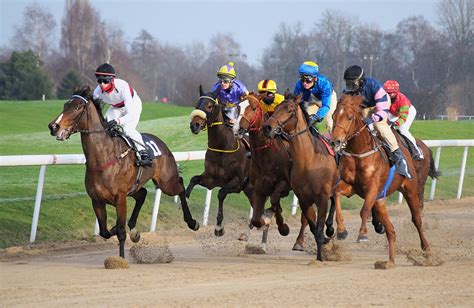 horse racing betting tips las vegas