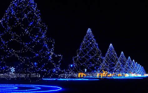 christmas lights backgrounds wallpapers backgrounds images art