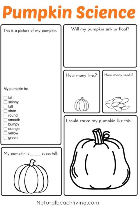 teaching  pumpkins life cycle  printables fall science