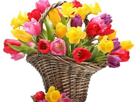 Speak Hearty Emotions Of Love With Mother’s Day Flowers