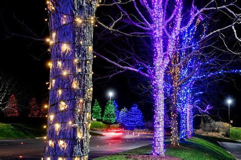 covid format change  nc arboretum winter lights show  asheville