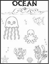 Preschool Freebie Biology Freebies Cyndi Ferrell sketch template