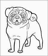 Pug Coloring Pages Dog Printable Clip Clipart Puppy Cliparts Kids Print Colouring Pugs Pig Drawing Adults Animal Animals Dogs Color sketch template