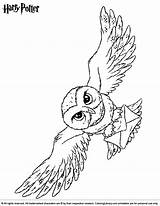 Potter Coloring Hedwig Eule Malvorlage Ausmalen Hogwarts Coloringlibrary Sketch Draco Malfoy Lechuzas Lechuza Abrir sketch template