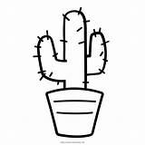 Cactus Cactos Cacto Colorare Pintar Disegno Suculentas Flor Facili Ultracoloringpages Macetas Mosaicos Riscos Cacti Succulents Noun Geometrico sketch template
