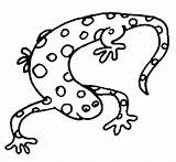 Coloring Clipart Salamander Clip Amphibians Newt Pages Kids Reptiles Printable Cliparts Sheet Drawing Preschool Drawings Library Color Line Easy Powerpoint sketch template