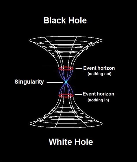 the difference between black and white holes