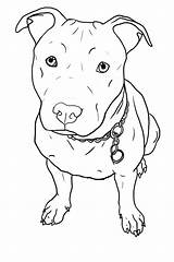 Coloring Pages Pitbull Dog Getcolorings Pit Bulls Color sketch template