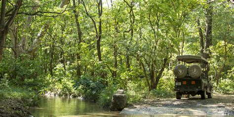 lake manyara serena lodge tanzania lodges yellow zebra safaris