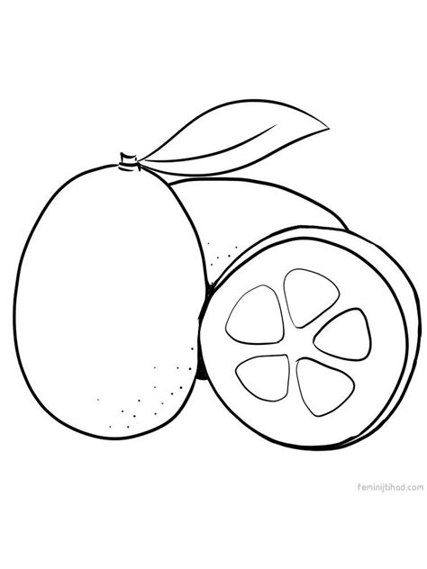 oranges coloring pages coloring home