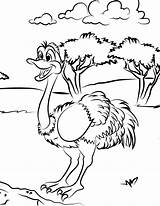 Ostrich Coloring Meadow sketch template