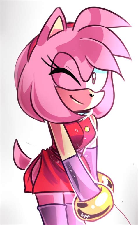 190 best amy rose images on pinterest hedgehog hedgehogs and pygmy