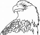 Eagle Coloring Bald Pages Eagles Printable Drawing Cartoon Realistic Clipart Line Philadelphia Color Book Cliparts Az Colouring Print Football Board sketch template