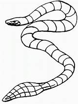 Snake Garter Clipartmag sketch template
