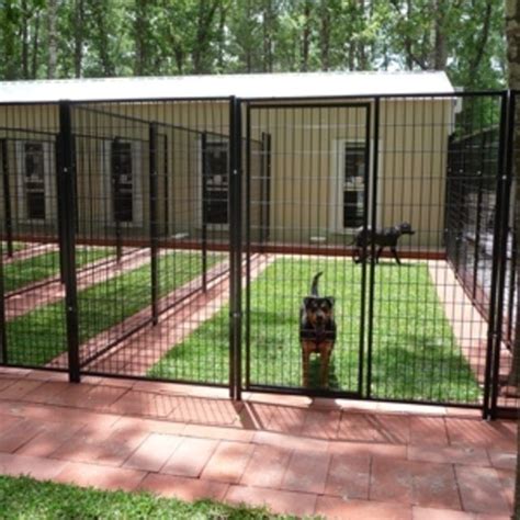 build dog suites  modern boarding kennel alternative doggie daycare dreams dog