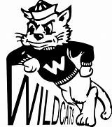 Wildcat Willie Clipart Transparent Webstockreview Cisd Mascot sketch template