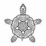 Schildpad Decoratieve Mandala Tartaruga Decorativa Illustratie Stammen Zentangle Gestileerde Vettore Tribale sketch template