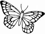 Butterfly Coloring Pages Da Animals Monarch Farfalle Outline Colorare Printable Sheets Drawing Google Drawings Colore Simple Popular Salvato Comments Coloringhome sketch template