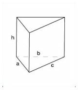 Prisma Driehoek Oppervlakte Invullen Velden sketch template