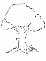 Imprimer Inspirant Pohon Coloriage sketch template