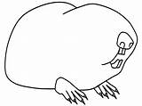 Rat Coloring Pages Mole Colouring Library Clipart Popular sketch template