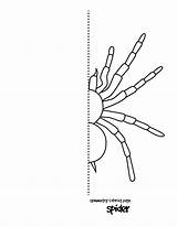 Symmetry Coloring Spider Tarantula Drawing Pages Colorluna Luna Color Sheets Getdrawings Colouring sketch template