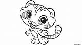 Tigre Coloriage Colorier sketch template