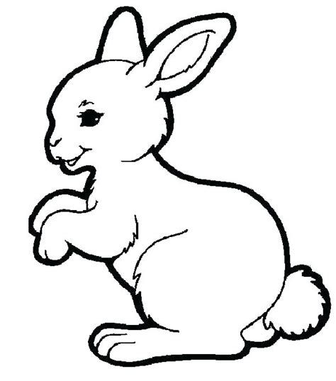 cute baby bunny coloring pages  getdrawings