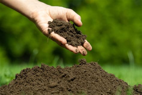 soil  soilless mix mineral  organic soils gardening  usask