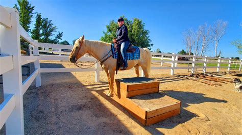 build   permanent mounting block  simple  essential fixture  riding facilities
