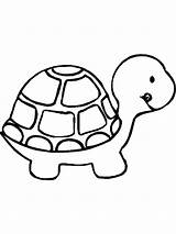 Tortoise Gopher sketch template