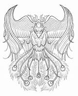 Phoenix Feuervogel Malvorlage Phinx Gargoyle Zeichnungen sketch template