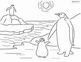 Coloring Penguin Antarctica Kids Pages Sheets Printable Penguins Polar Bear Facts Colorear Para Emperor Dibujos Animales La Colouring Color Animals sketch template