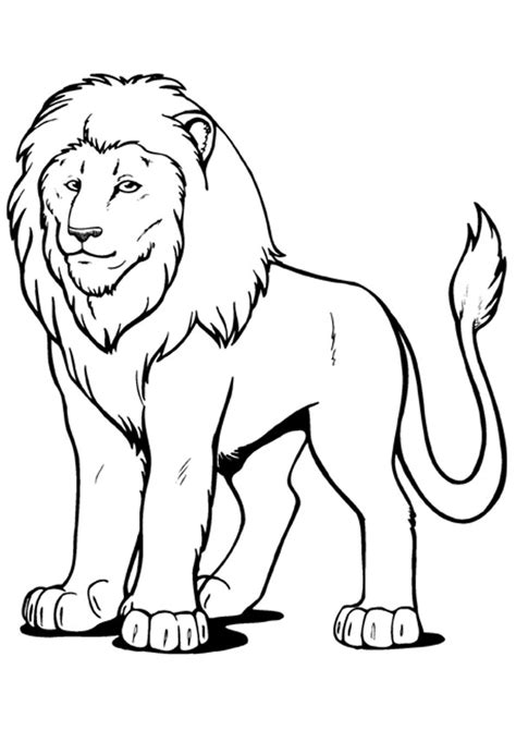 coloring pages printable lion coloring page  kids