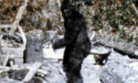 bigfoot is part human who had sex with human females 15 000 years ago