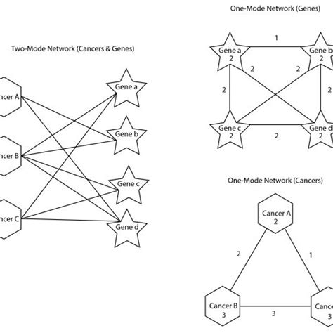 examples   mode   mode networks    mode  scientific diagram