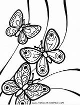 Coloring Butterfly Institut Butterflies Telematik Exclusive Entitlementtrap 1310 1000 Published May sketch template