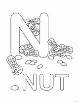 Nuts sketch template
