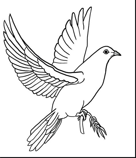 peace dove drawing  getdrawings