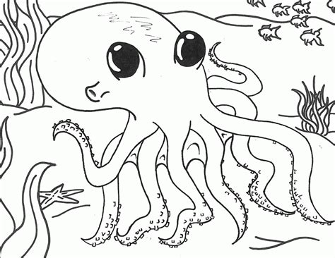octopus picture  kids coloring home