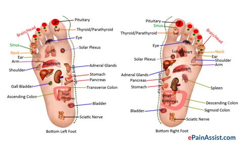 answers from a massage therapist part 3 what is reflexology body