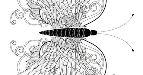 printable insect animal adult coloring pages adult coloring