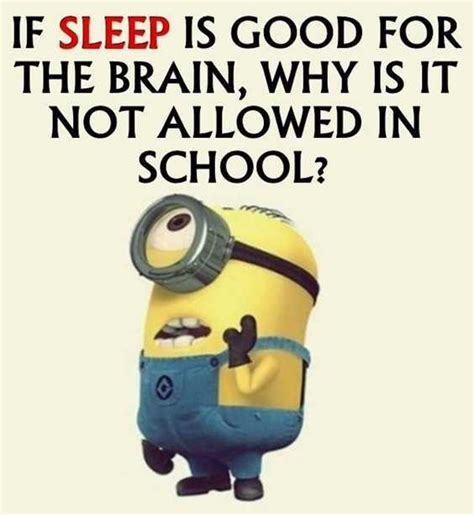65 Best Funny Minion Quotes And Hilarious Pictures To