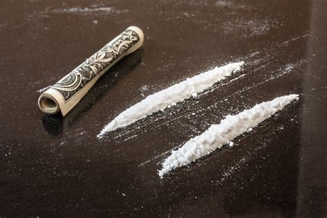 cocaine rewires brain overrides decision making