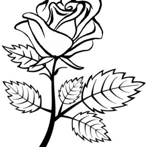 red rose coloring pages coloring pages