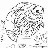 Fish Coloring Pages Realistic Beautiful Printable Most Getcolorings Color sketch template