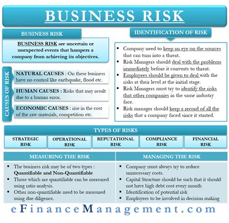 business risk meaning    reduce