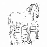 Paarden Kleurplaat Paard Wei Leukvoorkids sketch template