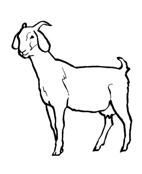 goat coloring pages  kids  coloring pages clip art