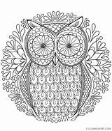 Coloring4free Grown Coloring Pages Owl Related Posts sketch template